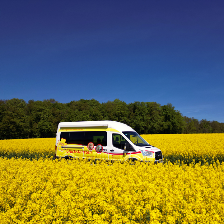 Ein weiß-gelber Kleinbus mit der Aufschrift „Glücksfahrten“ steht inmitten eines leuchtend gelben Rapsfeldes. Im Hintergrund ist eine grüne Baumreihe unter blauem Himmel zu sehen.